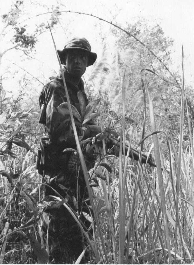 LRRP