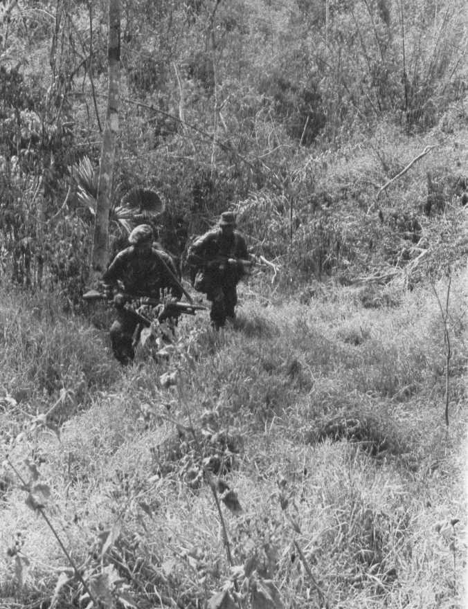 LRRP