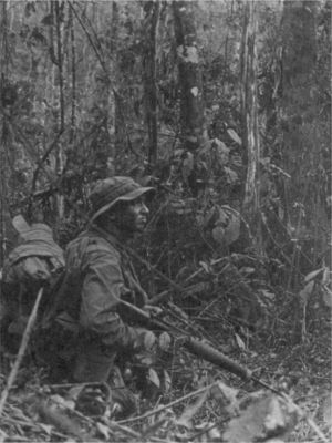 LRRP